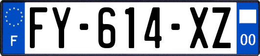 FY-614-XZ