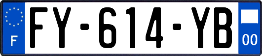 FY-614-YB