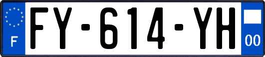 FY-614-YH