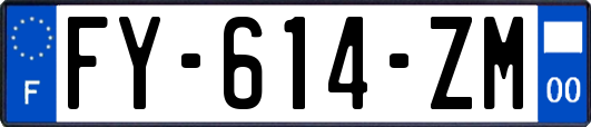 FY-614-ZM