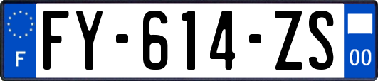 FY-614-ZS