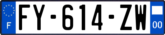 FY-614-ZW
