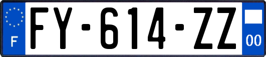 FY-614-ZZ
