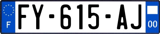 FY-615-AJ