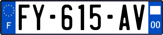 FY-615-AV