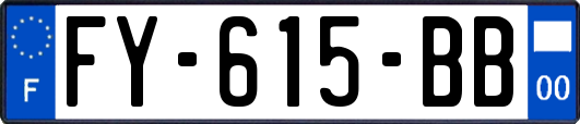 FY-615-BB
