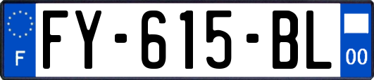 FY-615-BL
