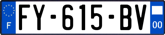 FY-615-BV