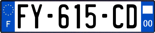 FY-615-CD
