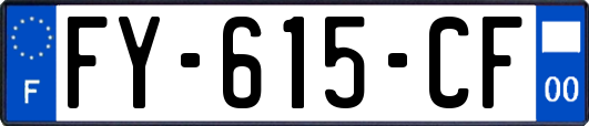 FY-615-CF