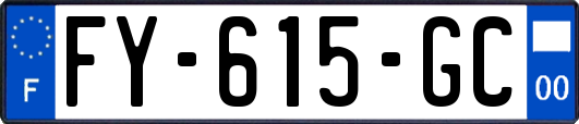 FY-615-GC