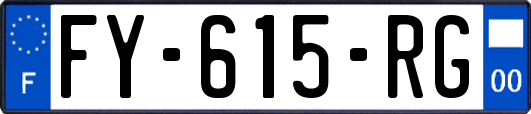 FY-615-RG