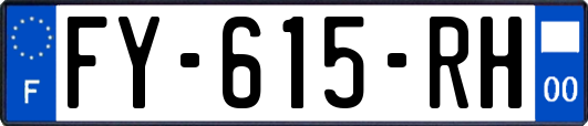 FY-615-RH