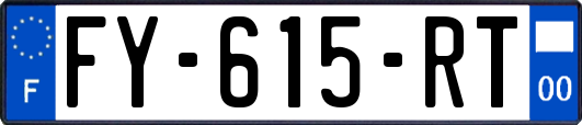 FY-615-RT
