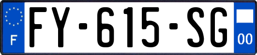 FY-615-SG