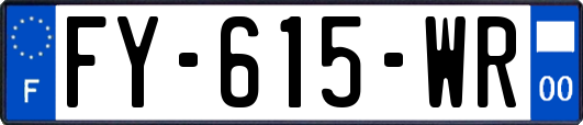 FY-615-WR