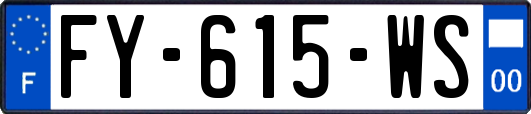 FY-615-WS