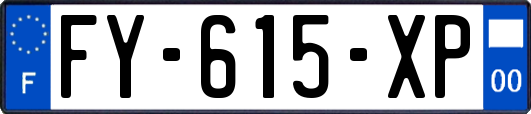 FY-615-XP