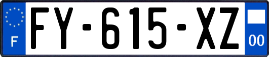 FY-615-XZ
