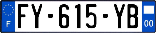FY-615-YB