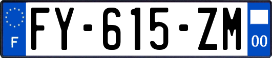 FY-615-ZM