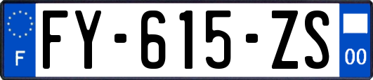 FY-615-ZS