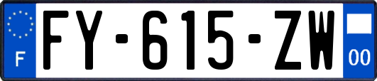 FY-615-ZW