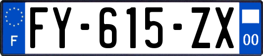 FY-615-ZX