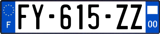 FY-615-ZZ