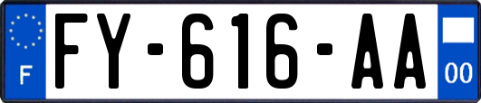 FY-616-AA