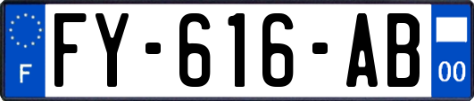 FY-616-AB