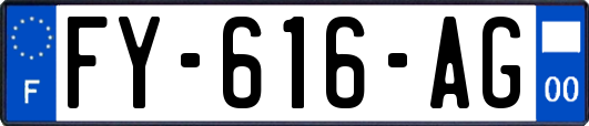 FY-616-AG