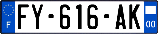 FY-616-AK