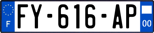 FY-616-AP