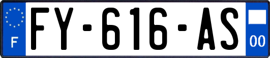 FY-616-AS