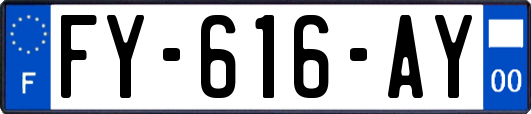 FY-616-AY