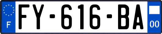 FY-616-BA
