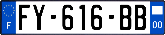 FY-616-BB