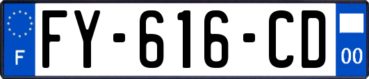 FY-616-CD