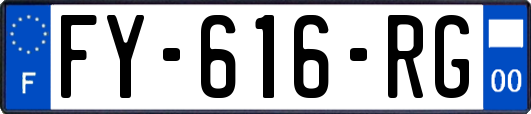 FY-616-RG