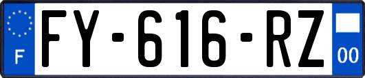 FY-616-RZ