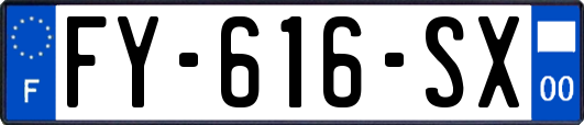 FY-616-SX