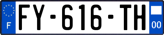 FY-616-TH