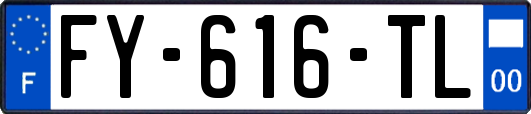 FY-616-TL