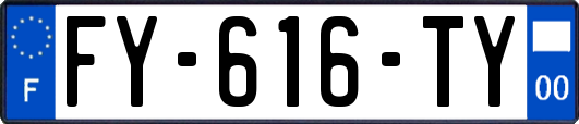 FY-616-TY
