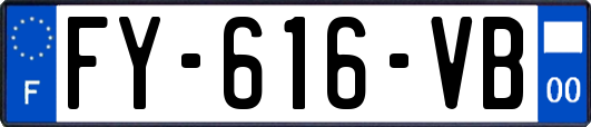 FY-616-VB