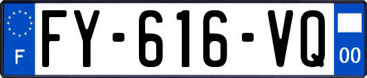 FY-616-VQ