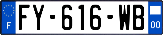 FY-616-WB