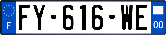 FY-616-WE