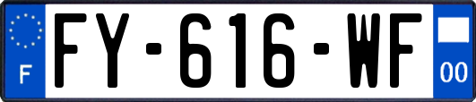 FY-616-WF